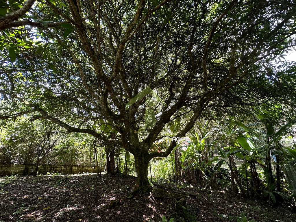 Chácara em Embu-Guaçu, no bairro Chácara Bonanza