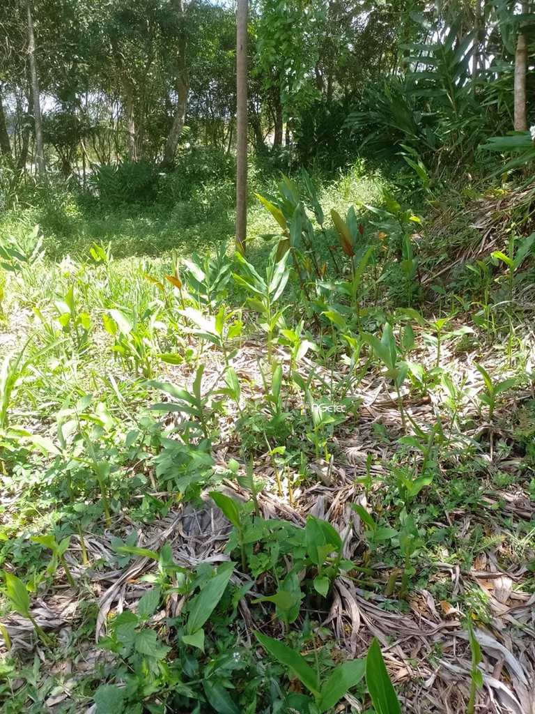 Terreno em Embu-Guaçu, no bairro Chácara Havai