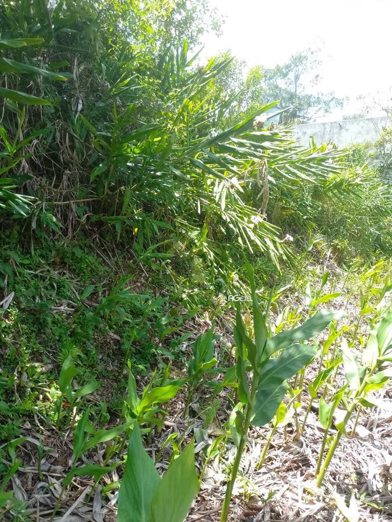 Terreno em Embu-Guaçu, no bairro Chácara Havai