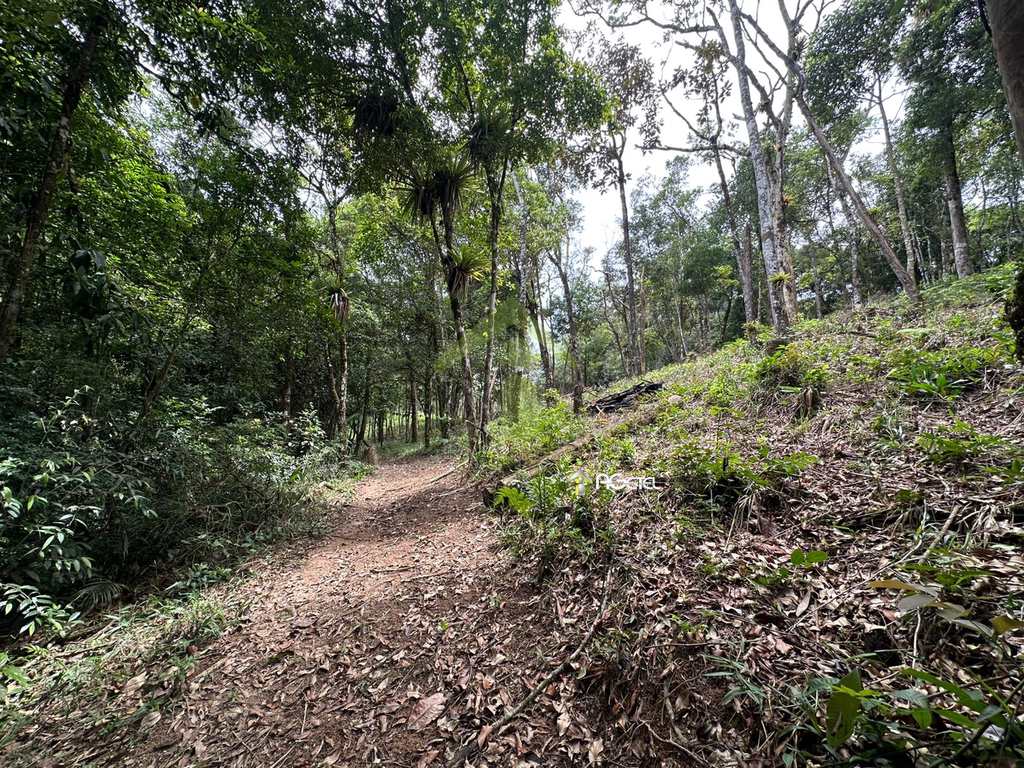 Sítio em Embu-Guaçu, no bairro Belvedere