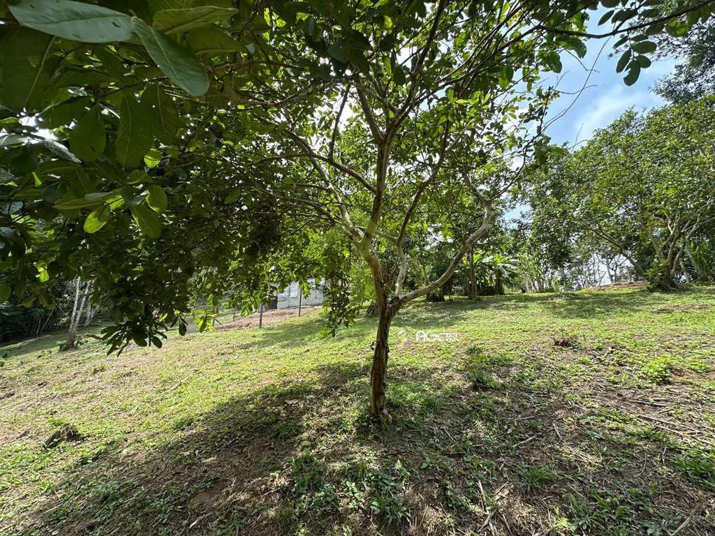 Sítio em Embu-Guaçu, no bairro Belvedere