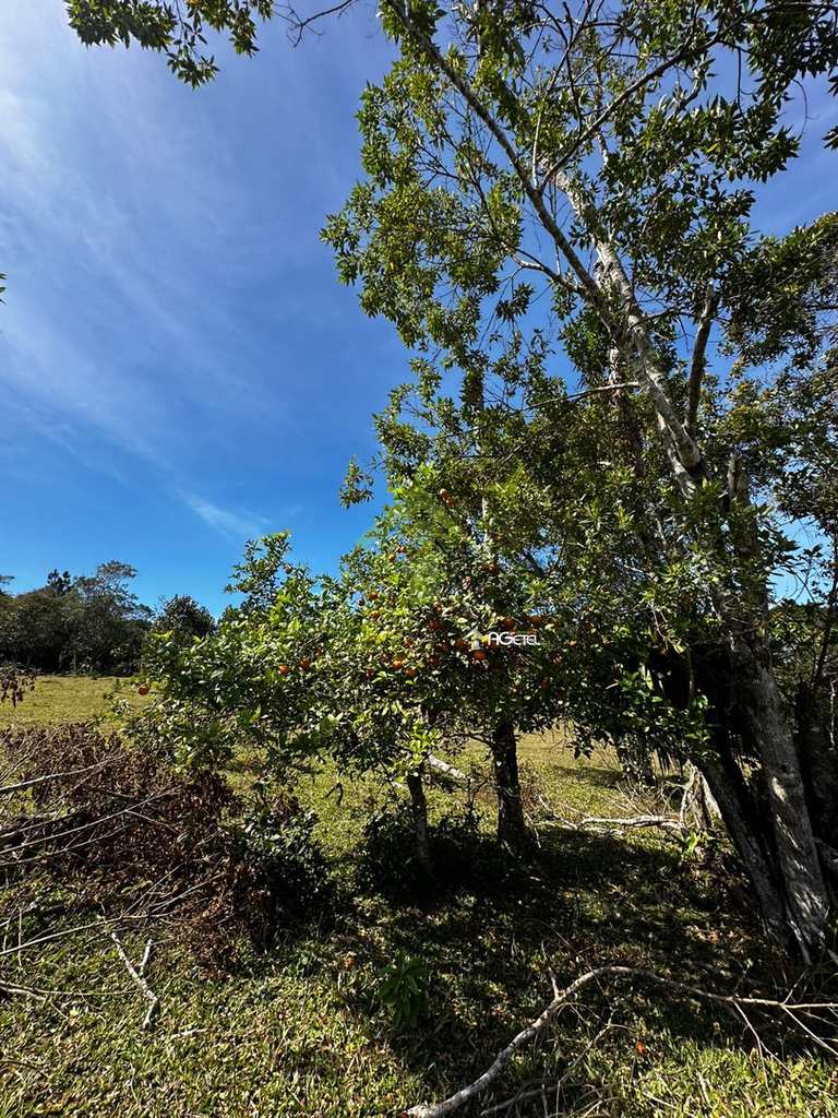 Fazenda em Embu-Guaçu, no bairro Jardim dos Eucaliptos