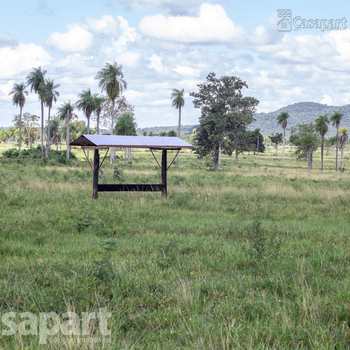Fazenda em Porto Murtinho, bairro Centro