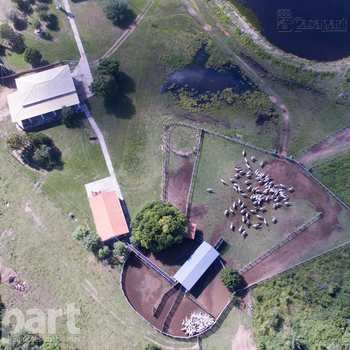 Fazenda em Porto Murtinho, bairro Centro