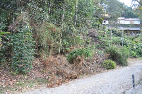 Terreno, código 267 em Nova Friburgo, bairro Cascatinha