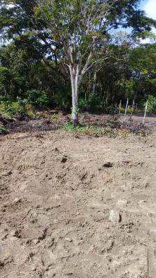 Terreno, código 906 em Itanhaém, bairro Balneário Gaivotas