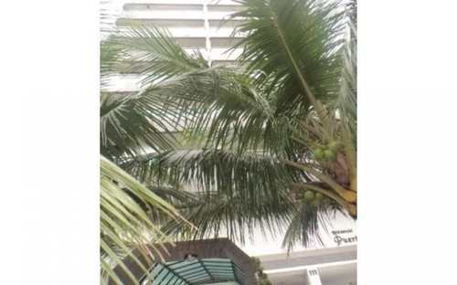 Apartamento, código 2421 em Praia Grande, bairro Aviação