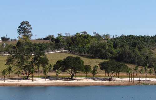 Rancho, código 1721842 em Delfinópolis, bairro Centro