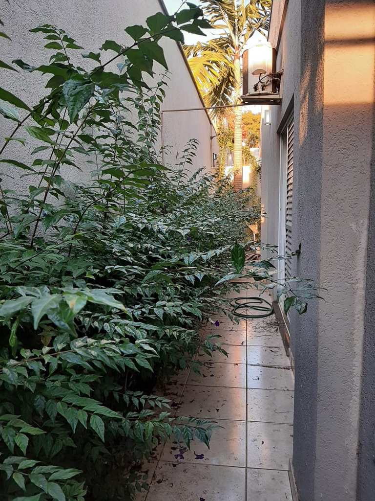 Casa de Condomínio em Ribeirão Preto, no bairro Nova Aliança