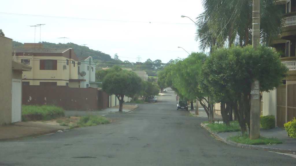 Apartamento em Ribeirão Preto, no bairro Residencial E Comercial Palmares