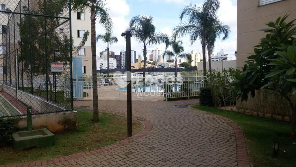 Apartamento em Campinas, no bairro Bonfim