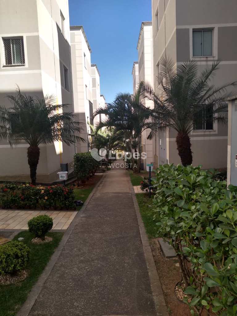 Apartamento em Paulínia, no bairro Vila Monte Alegre