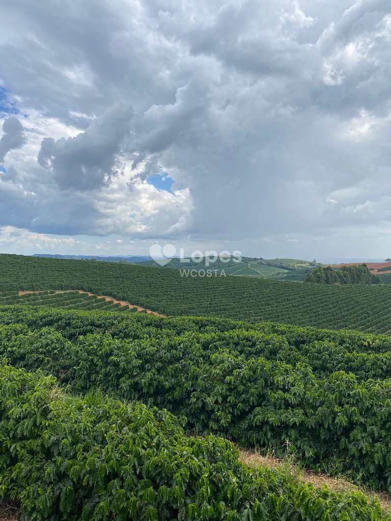 Fazenda em Guaxupé, no bairro Centro