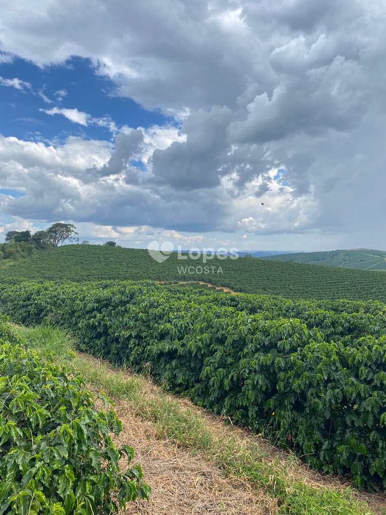 Fazenda em Guaxupé, no bairro Centro