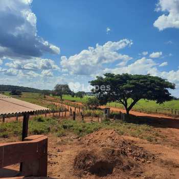 Fazenda em Araguaína, bairro Setor Central