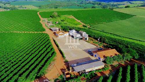 Fazenda, código 808 em Monsenhor Paulo, bairro Centro