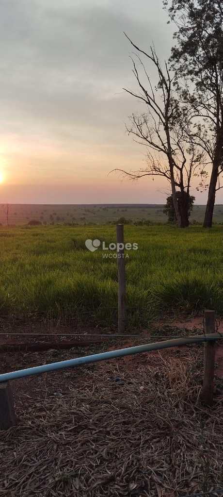 Fazenda em Sonora, no bairro Centro