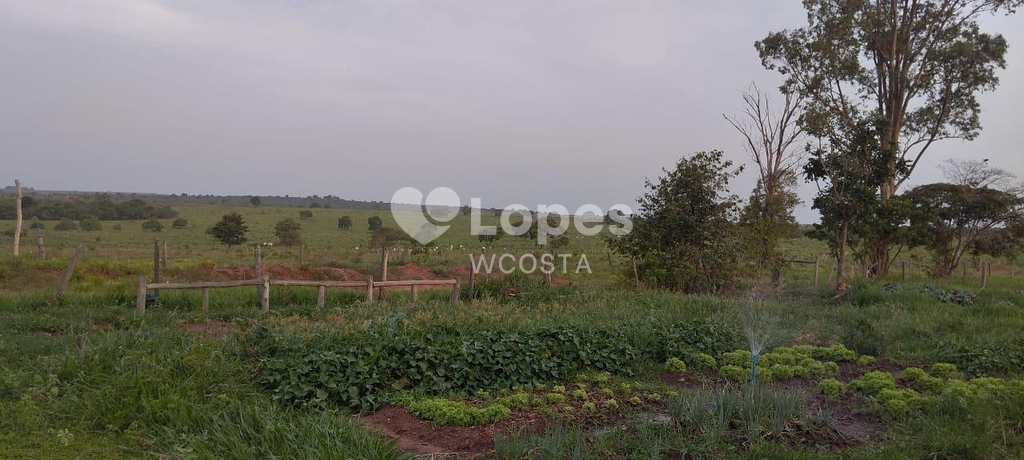 Fazenda em Sonora, no bairro Centro