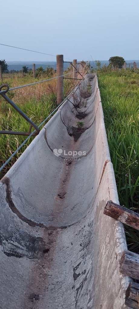 Fazenda em Sonora, no bairro Centro