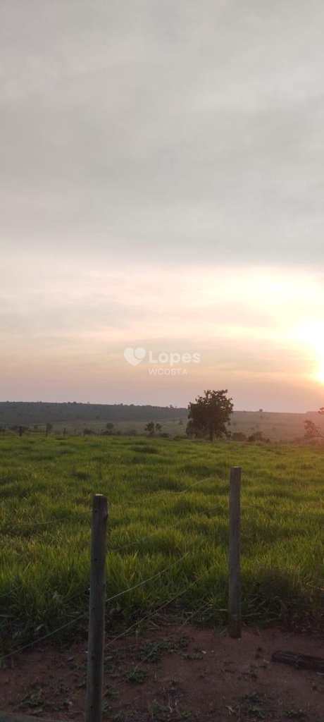Fazenda em Sonora, no bairro Centro