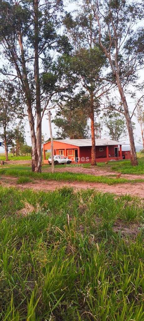 Fazenda em Sonora, no bairro Centro