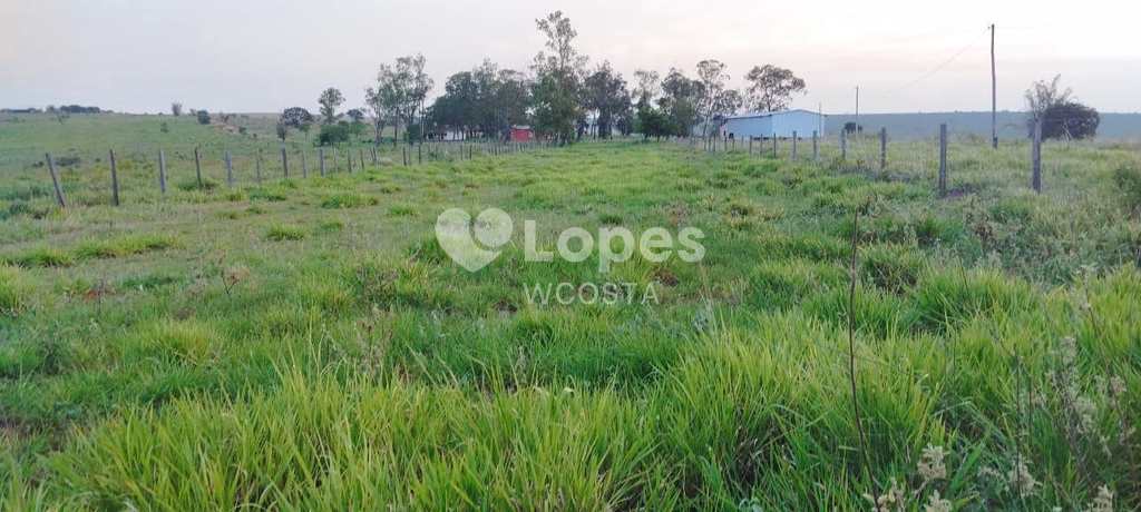 Fazenda em Sonora, no bairro Centro