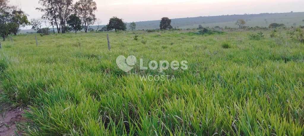 Fazenda em Sonora, no bairro Centro