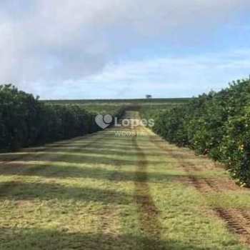 Fazenda em Avaré, bairro Área Rural de Avaré