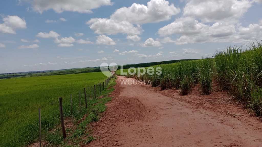 Fazenda em Lins, no bairro Centro