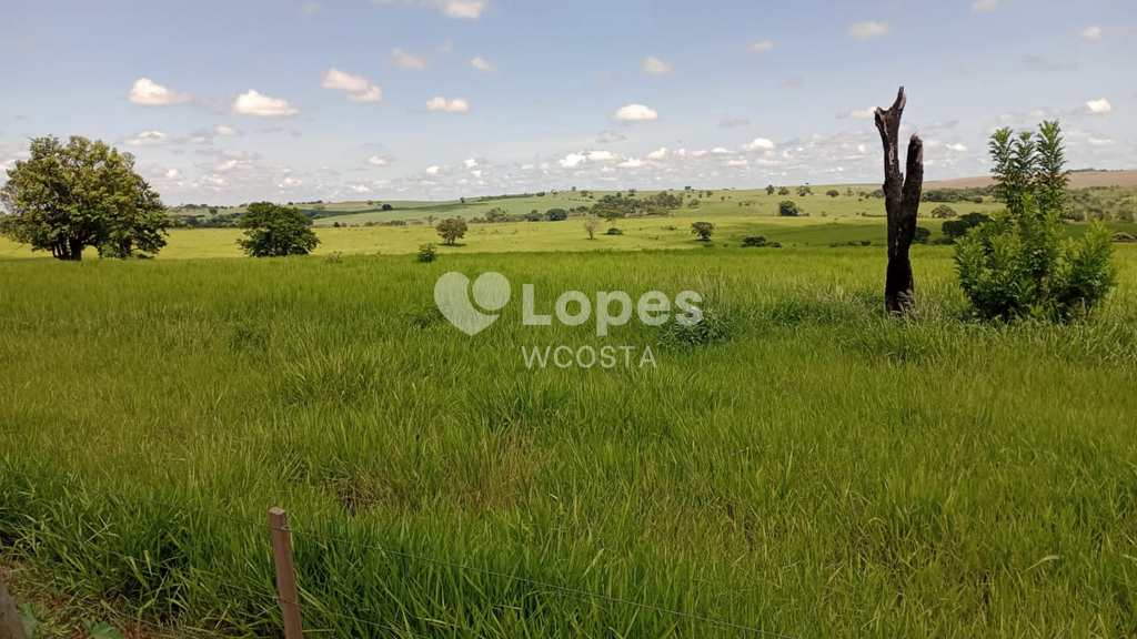 Fazenda em Lins, no bairro Centro