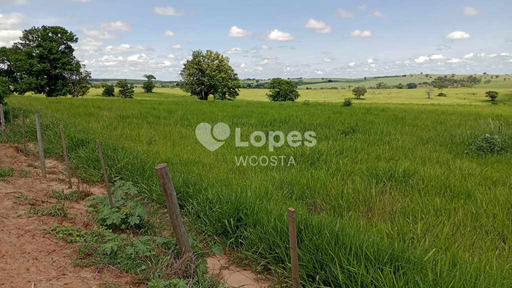 Fazenda em Lins, no bairro Centro