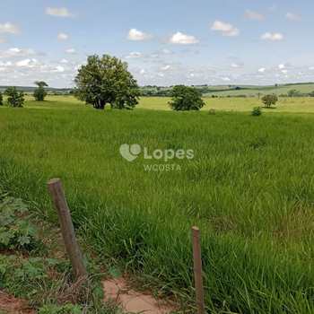 Fazenda em Lins, bairro Centro