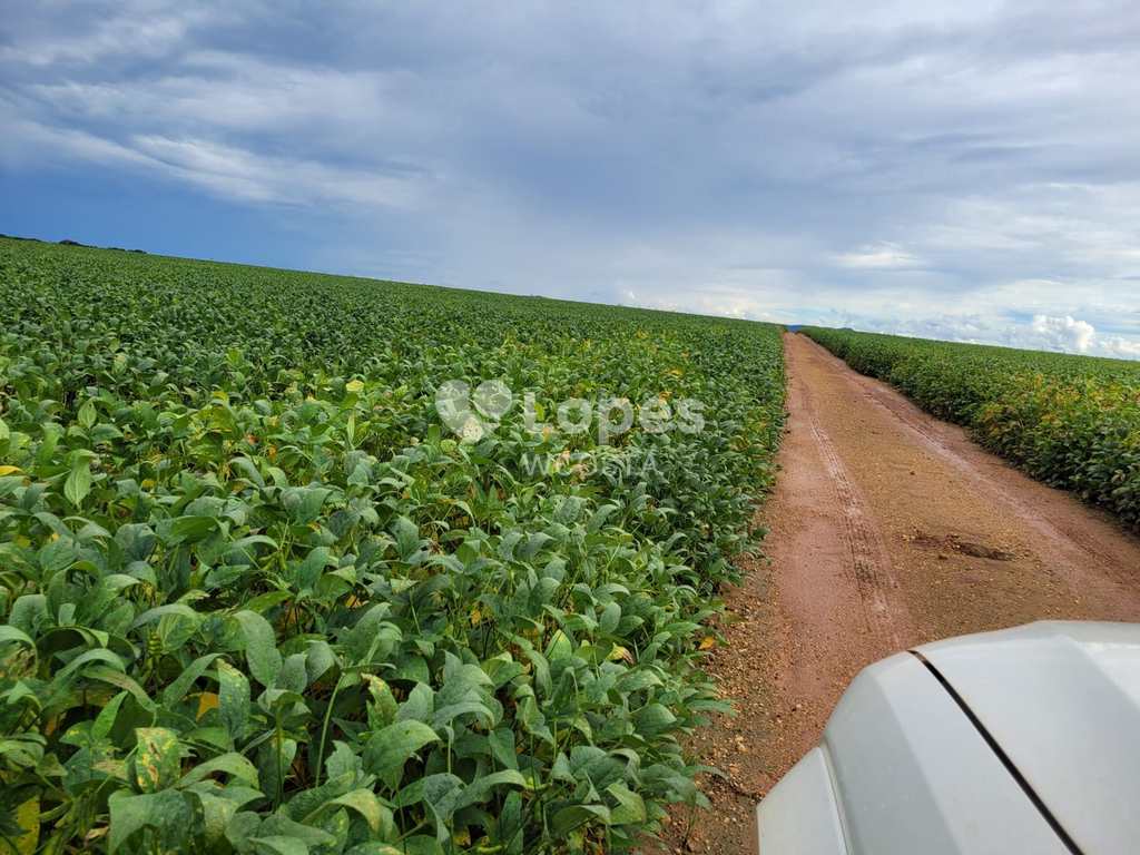 Fazenda em Primavera do Leste, no bairro Centro