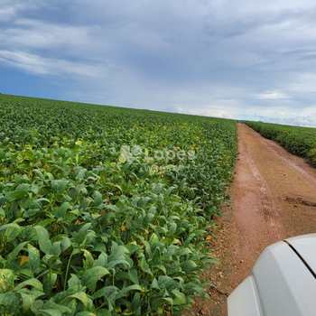 Fazenda em Primavera do Leste, bairro Centro