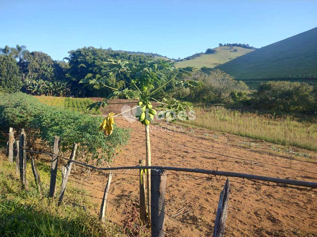 Chácara em Cambuí, no bairro Centro