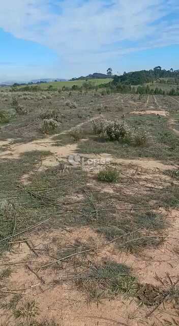 Fazenda em Santo Antônio do Amparo, no bairro Centro