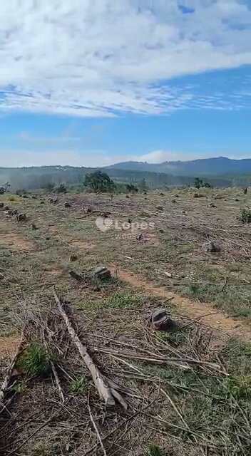 Fazenda em Santo Antônio do Amparo, no bairro Centro