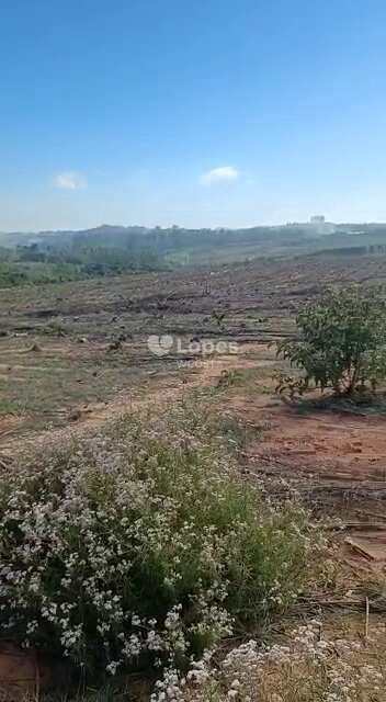 Fazenda em Santo Antônio do Amparo, no bairro Centro