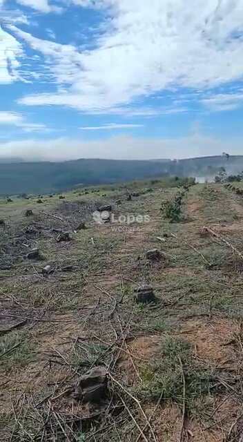 Fazenda em Santo Antônio do Amparo, no bairro Centro