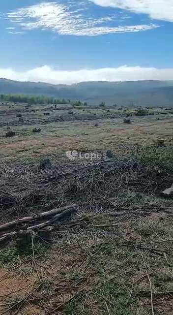 Fazenda em Santo Antônio do Amparo, no bairro Centro