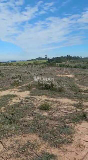 Fazenda em Santo Antônio do Amparo, no bairro Centro