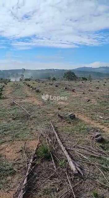 Fazenda em Santo Antônio do Amparo, no bairro Centro