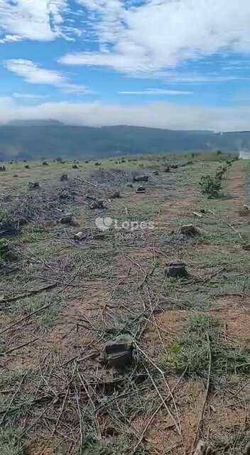 Fazenda em Santo Antônio do Amparo, no bairro Centro