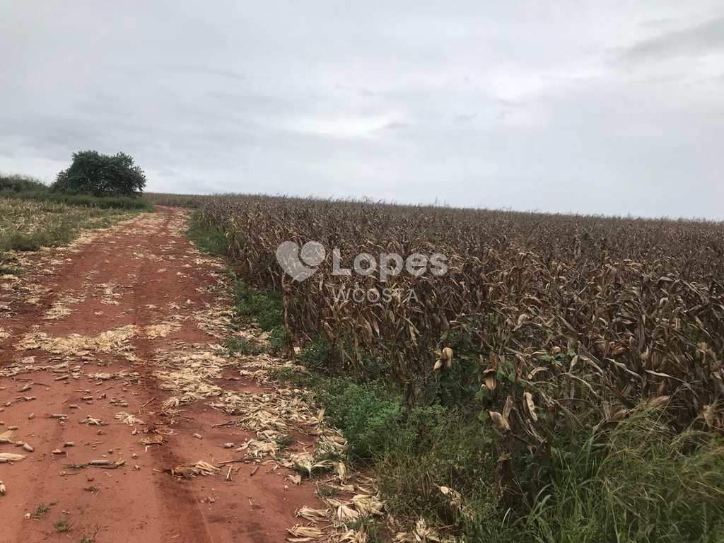 Fazenda em Itapira, no bairro Área Rural de Itapira
