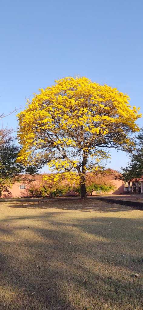 Fazenda em Itapira, no bairro Área Rural de Itapira