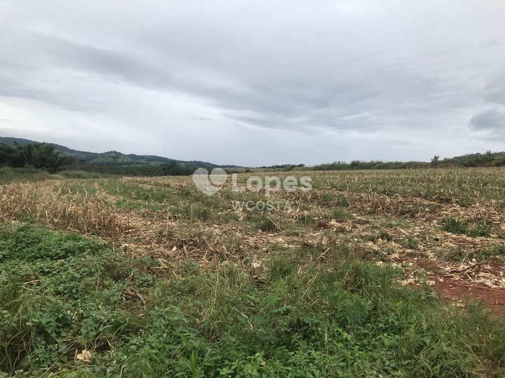 Fazenda em Itapira, no bairro Área Rural de Itapira