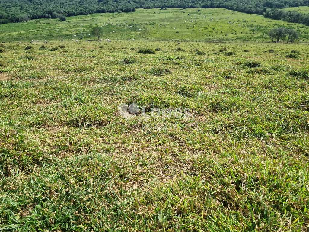 Fazenda em Itajubá, no bairro Área Rural de Itajubá