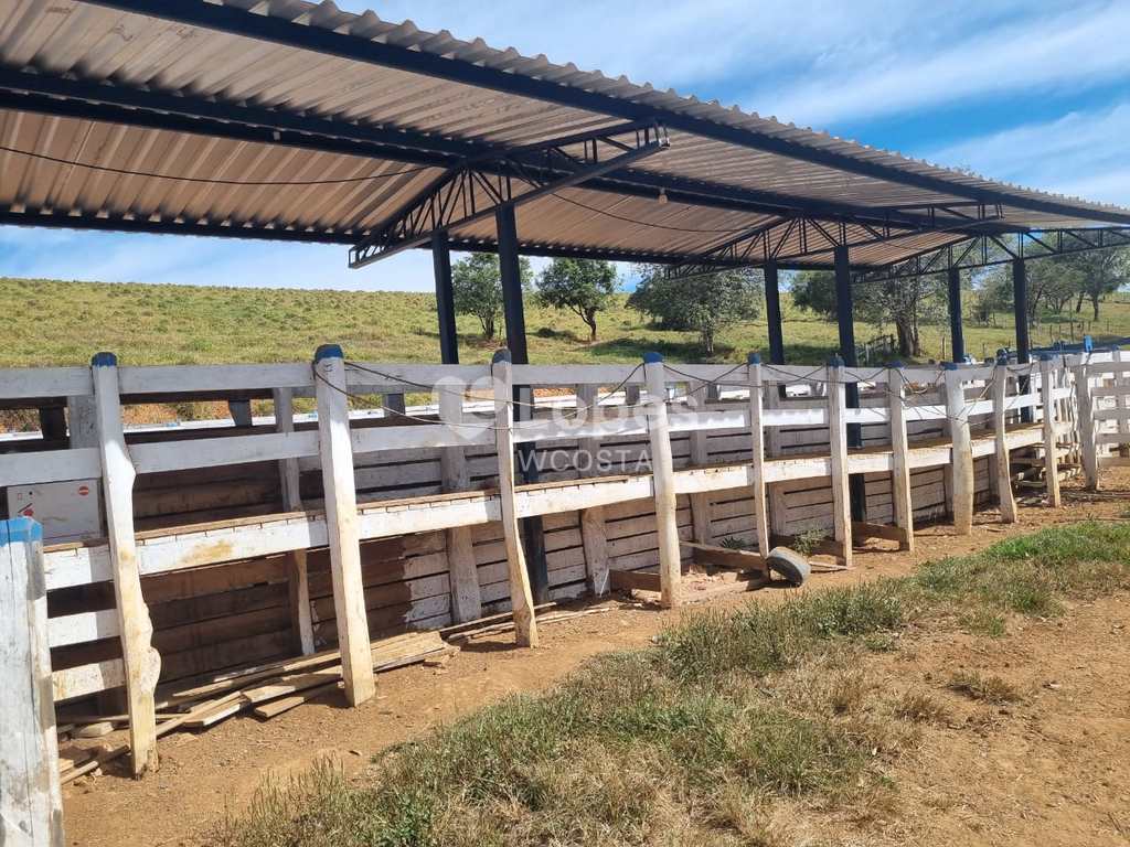 Fazenda em Itajubá, no bairro Área Rural de Itajubá