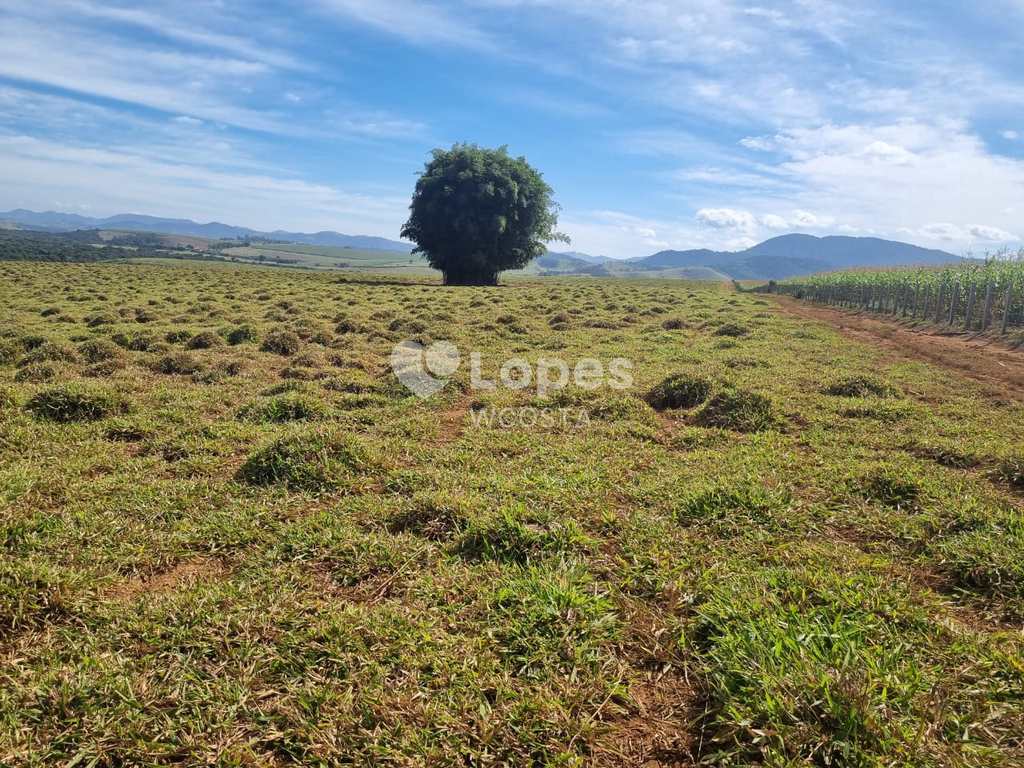 Fazenda em Itajubá, no bairro Área Rural de Itajubá