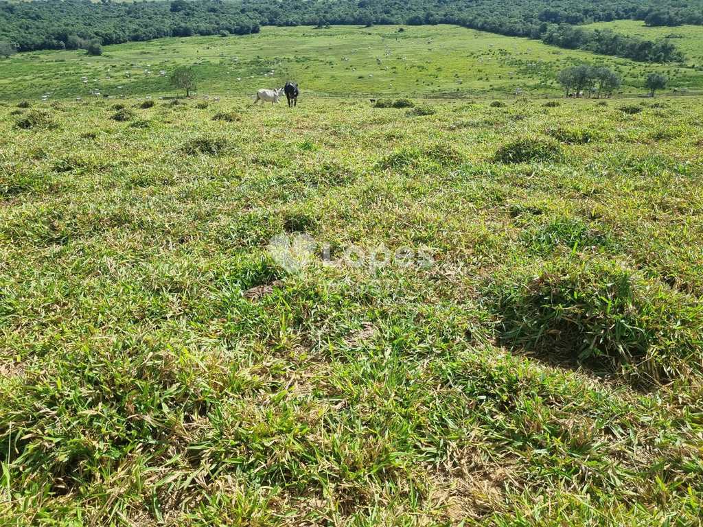 Fazenda em Itajubá, no bairro Área Rural de Itajubá